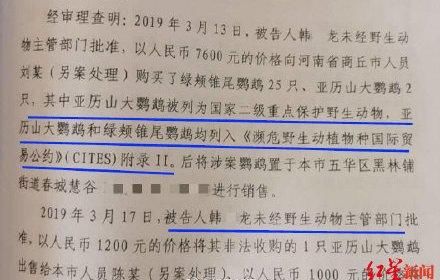 希望|大学生售卖宠物一审获刑6年，女友:已上诉，希望能轻判