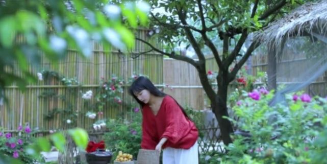  年收入|不满足年收入1.6亿现状？ 李子柒要成立食品公司