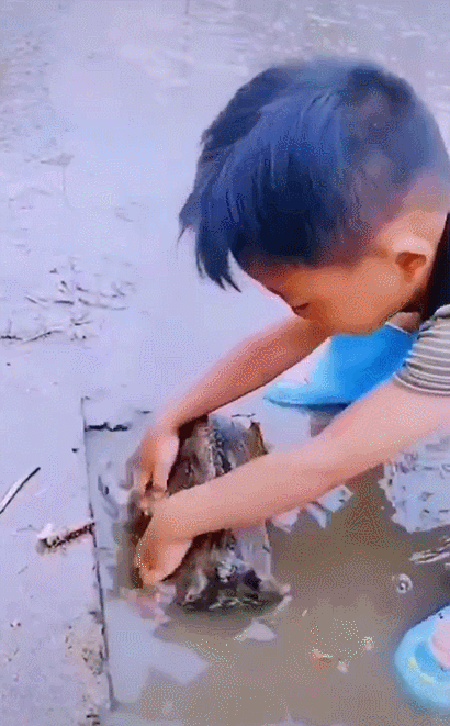 大哭|公交司机蓄意报复、痛失9000万男子大哭:总有一种爱温暖你