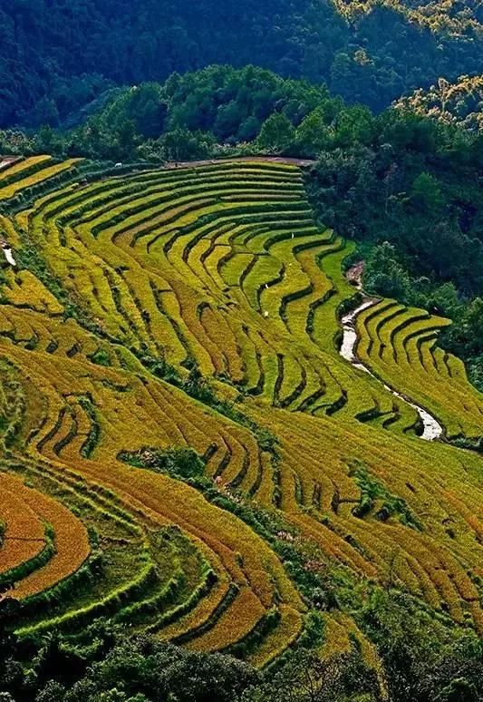 海中|中国这个美丽海滨！城在海中、海在城中，藏着绝妙生活却少有人知