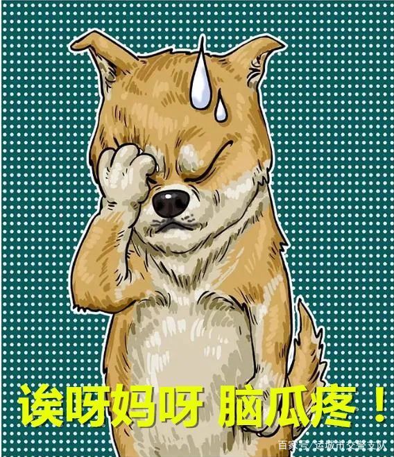 处罚|举报人和被举报人都被处罚了……为啥？举报也要守法！｜回音壁