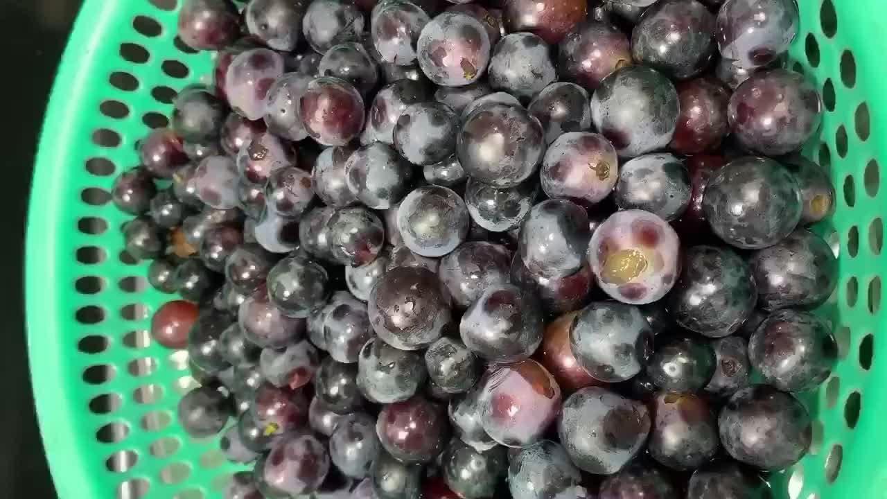 酒香|自酿葡萄酒，酒香浓郁甘甜味美，“风险”大于“风味”