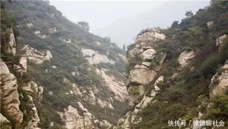 提出|魏延真的提出过子午谷奇谋吗?