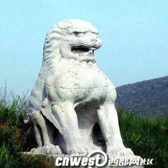 悬赏|悬赏百万征集线索！