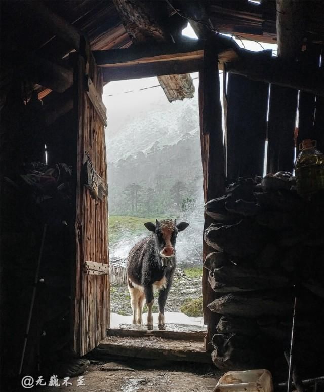 隐秘|彩云之南，梅里北坡，超级隐秘的世界级徒步线路