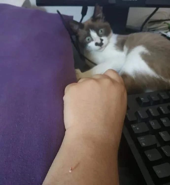 游戏|“男票从医院出来表情痛苦，女生为啥那么高兴？”哈哈哈哈评论区看得通透