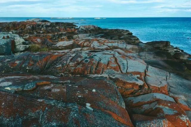  风景|塔斯马尼亚 | 世界尽头那颗绿色的心，是我念念不忘的风景