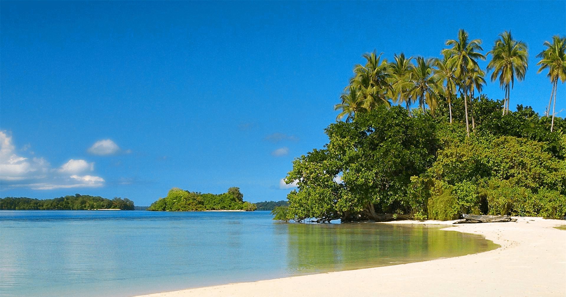  下半年|下半年财气能够一路飙升的4个星座, 追求的目标将有明显的收获