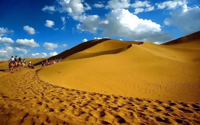  八道桥|为什么10月不能错过额济纳？详细攻略！不要错过这个秋天...