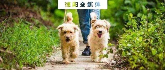 毒品|缴获毒品8公斤多!绵竹警方破获一起跨区贩毒案!