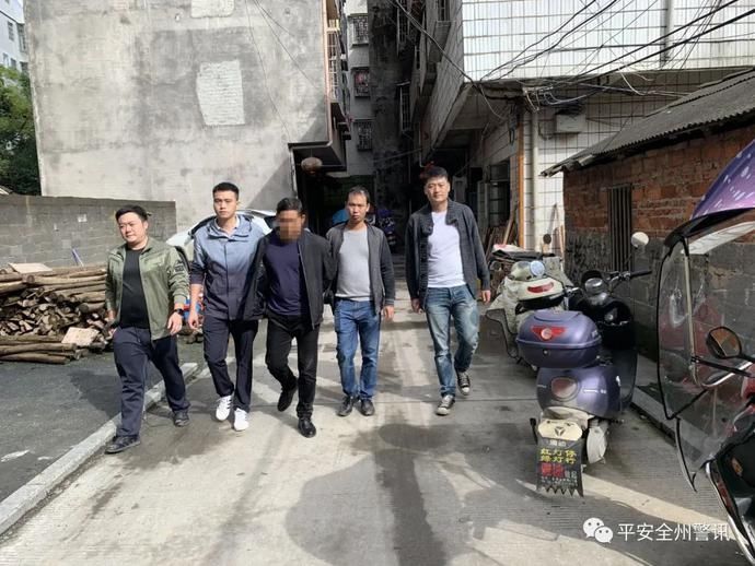 全州|刑拘4人破案28起！全州公安打掉一个盗狗、贩狗链条式犯罪团伙