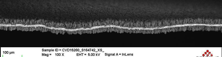 公里|最大续航1200公里?特斯拉新电池能量密度提升50%