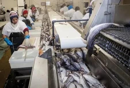 火光冲天|美国多地再发暴乱,5000抗议者冲破法院围栏,火光冲天