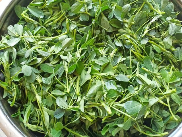 营养价值|春天碰到这野菜别犹豫,我一买就是20斤,营养价值高,常吃身体好