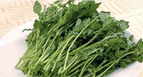 野菜|经常吃此野菜,皱纹斑点不见了,远离妇科疾病