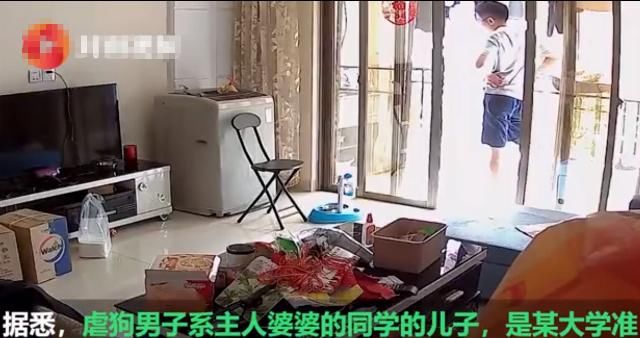 谢女士|借宿朋友家不知感恩，研究生虐狗引网友怒批：不配读大学