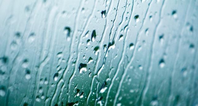  之气过重|湿气重的人，身体一般会出现“3黄”，学会祛湿方法，无湿一身轻