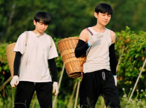  收官|《向往》前脚刚收官，彭昱畅后脚就官宣“好消息”，真是个大忙人