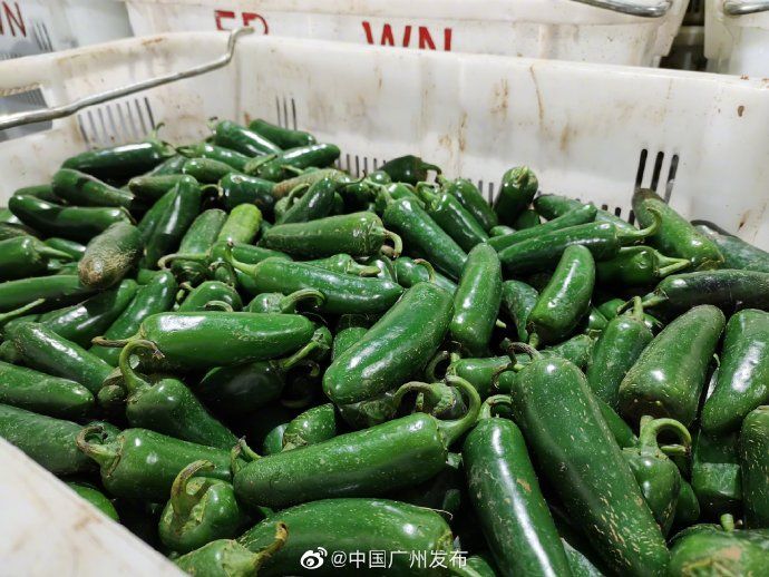 发货|发货啦!你饭桌上的菜,竟然是从这里打包发货的