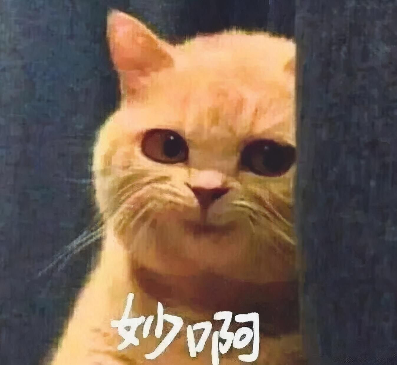入近|大爷快递点摆摊免费帮拆快递，日入近百元，网友：妙啊！一举两得