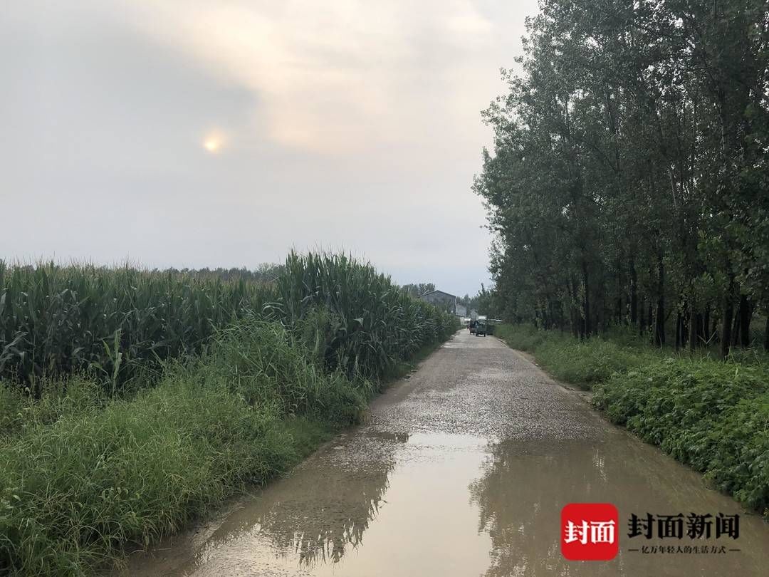 戒备森严|回访虞城命案事发地:村内戒备森严 茫茫玉米地难觅疑犯行踪