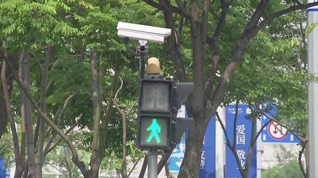 已有|今起，行人乱穿马路、闯红灯直接处罚！金山已有人收到罚单