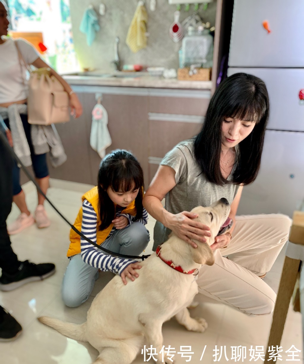  迟暮|美人不迟暮！杨采妮的图集