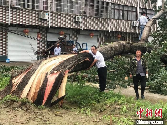 门复原的龙|江苏淮北地区遭遇龙卷风 致部分房屋损毁