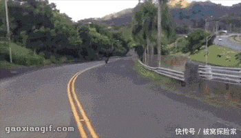  恩爱|爆笑GIF: 大哥, 在公交车上, 你们这样秀恩爱真的好吗, 我真是看不下去了