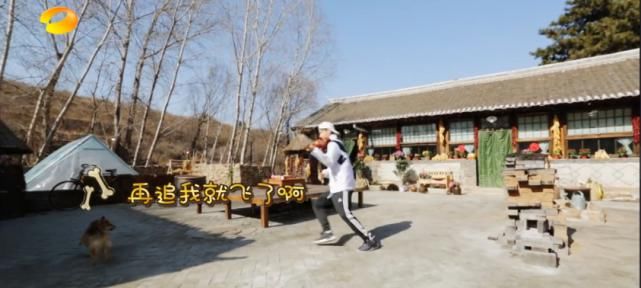  大华|被何炅黄磊踢出群聊，全网骂退出节目，却在韩国成万人追捧的音乐天才？