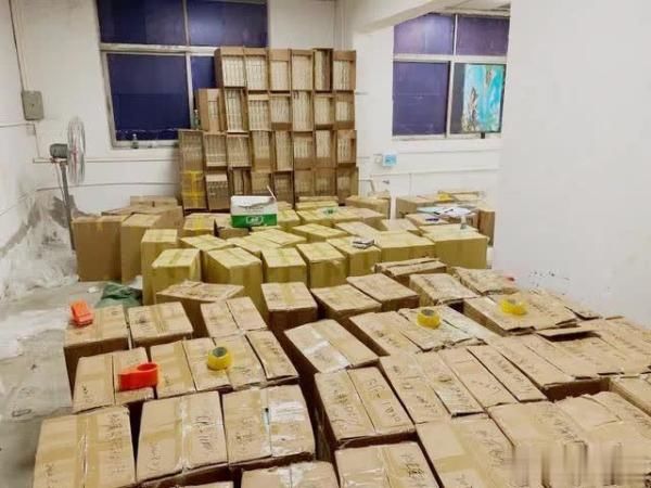 涉案|大岭山公安查获大批假冒名牌香烟，涉案金额高达七百多万元！