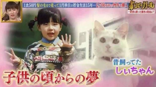  猫咪|只为开猫咪咖啡馆，女子日均开销不到15元，34岁前买下3栋楼！