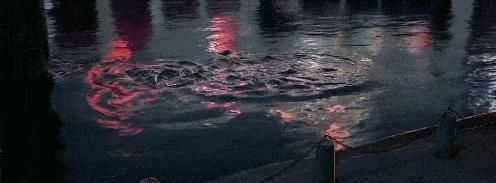  嘉尔|集齐四位队长，终于召唤来了《这!就是街舞3》！