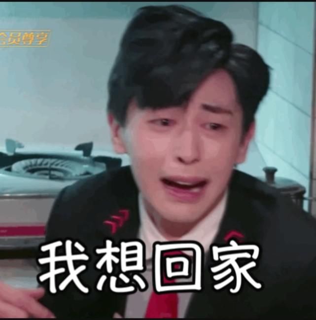  邓伦|邓伦认同自己是团宠