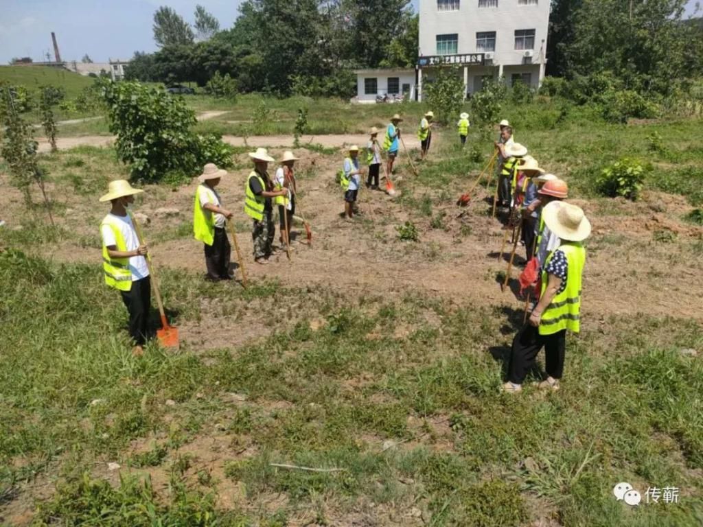  模式|最高40摄氏度！烧烤模式下江堤上的坚守……