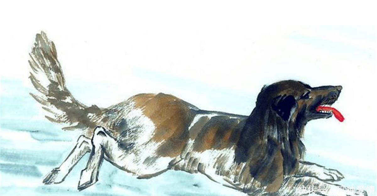 有大|民间俗语“狗肉不上桌”,为啥狗肉不能上桌背后有大讲究!