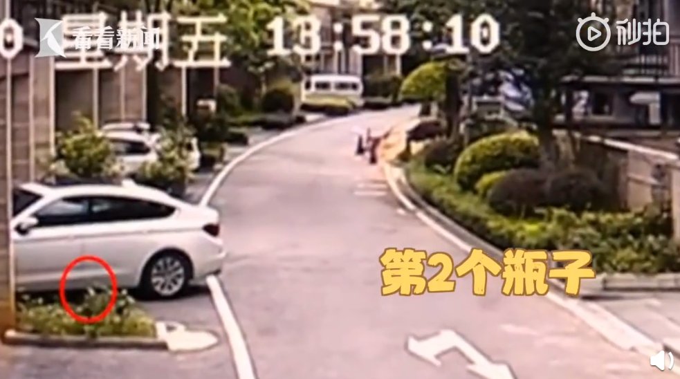 抛物|停车10分钟被高空抛物砸4次，抛物者：扔野猫的