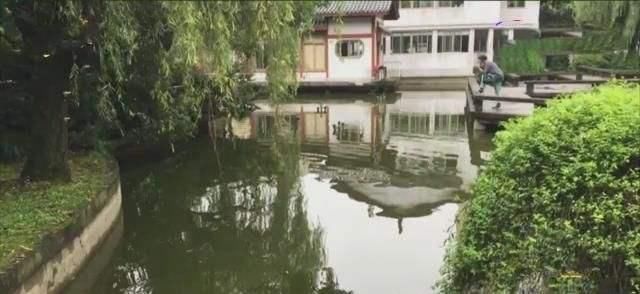 杭州|杭州失踪女子小区成直播聚集地,多名网红连夜来杭,直言"为蹭流量"