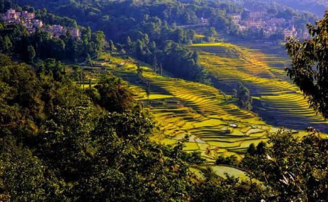 生长|云之南，一个生生不息、万物生长的地方