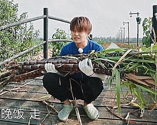 出过|任嘉伦扛不动甘蔗时,谁注意他说了句啥不愧是出过国超文集的人