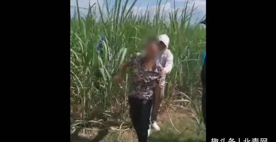  西乡塘公安分局禁毒|甘蔗地里上演惊险追击战！结局是......