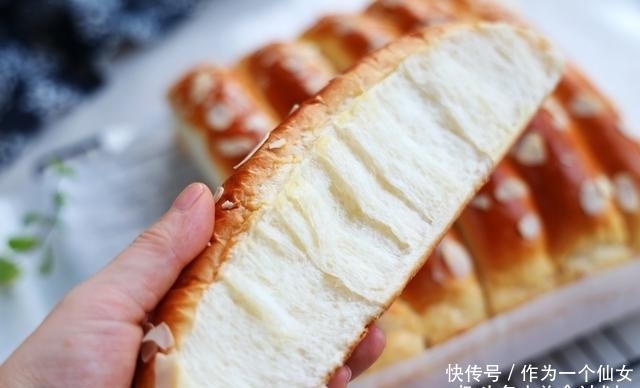 中种面团|开学后,我家最受欢迎的早餐,又香又松软的排排包,一口气吃3排