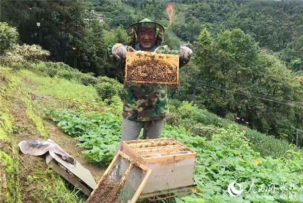  实处|周霁强调：保持定力 继续干在实处走在前列