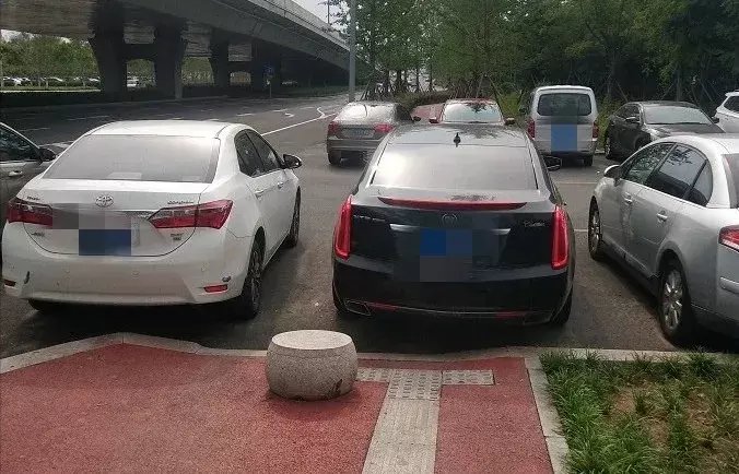 海安路瑞竹|看着都让人脸红！不文明“随手拍”第一期曝光！