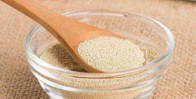  告诉|酵母吃多了是否有危害呢？老师傅告诉你原因