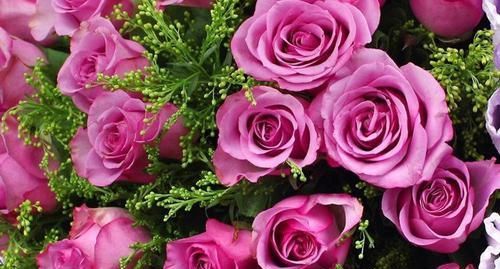 丈夫|“一生不缺钱”的三种生肖女，丈夫乖乖上交工资卡，感情很和谐