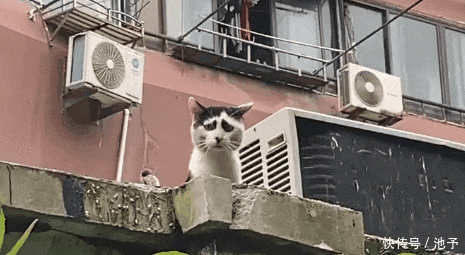 姑娘|现在的姑娘穿衣真的是随性,我在旁边看着都替她感到尴尬