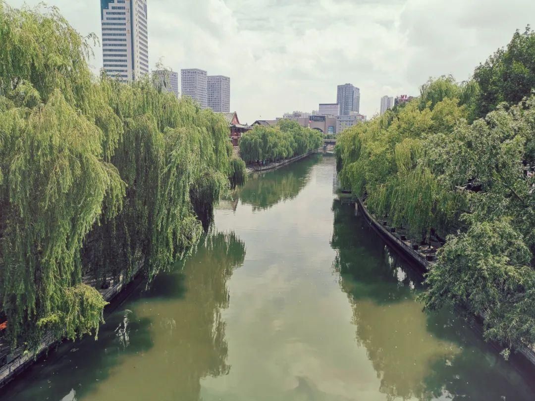  济宁|瞒不住了！济宁这些“隐秘的角落”必须曝光