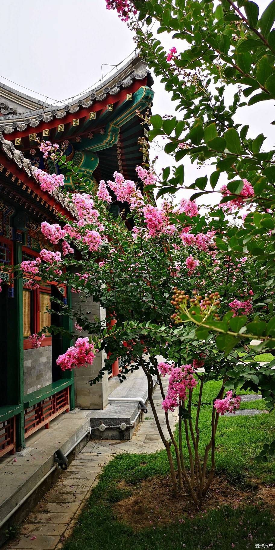  博物馆|游览中国园林博物馆