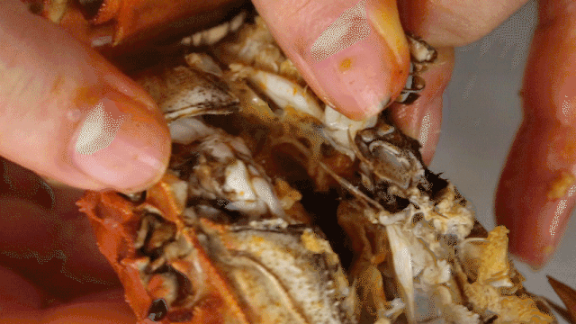 上海|吃法不要这么简单粗暴，请让大闸蟹＂死得其所＂